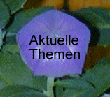  Aktuelles 