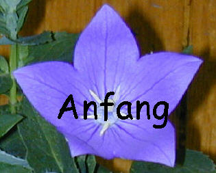  Anfang 