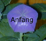  Anfang 