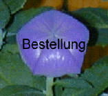  Bestellung 