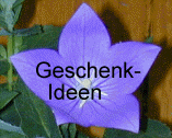  Geschenkideen 