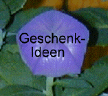  Geschenkideen 