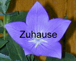  Zuhause 