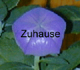  Zuhause 